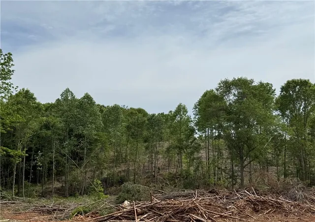 Photo 3 of Land for sale at 2574 North Hwy 27, Carrollton, GA 30117 | MLS# 7763399 | Listing updated on 2026-05-08