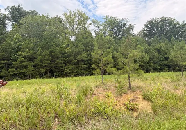 Homes for sale in Piedmont, AL | Lot 58 County Road 32, Piedmont, AL 36272 | MLS# 7804958