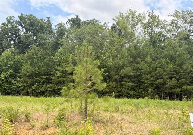 Homes for sale in Piedmont, AL | Lot 58 County Road 32, Piedmont, AL 36272 | MLS# 7804958