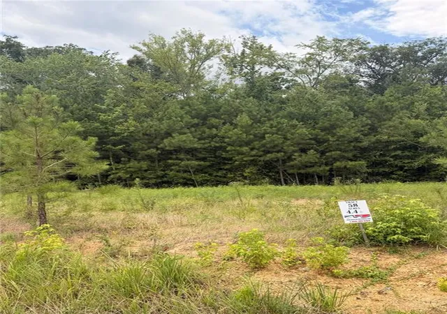 Homes for sale in Piedmont, AL | Lot 58 County Road 32, Piedmont, AL 36272 | MLS# 7804958