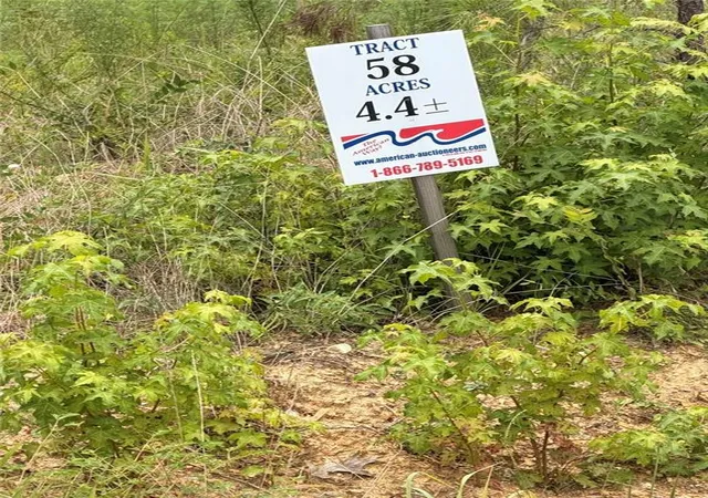 Homes for sale in Piedmont, AL | Lot 58 County Road 32, Piedmont, AL 36272 | MLS# 7804958