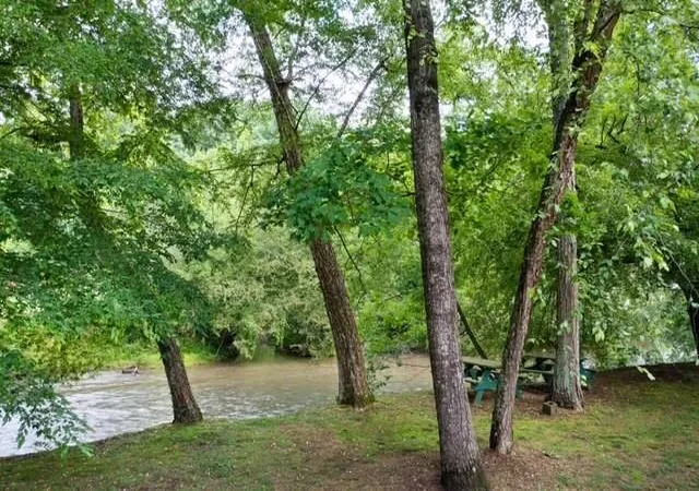 63rd image of 442 Cartecay River Run, Ellijay, GA 30536 | MLS# 7694211