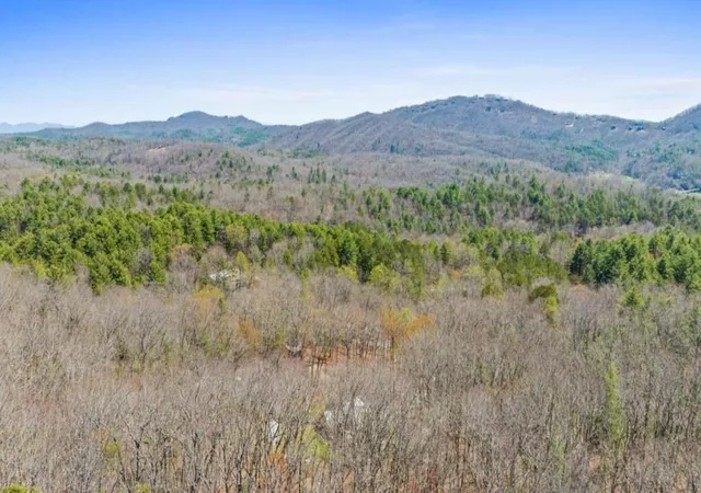 4th image of 40A Synacia Rd, Mineral Bluff, GA 30559 | MLS# 7768345