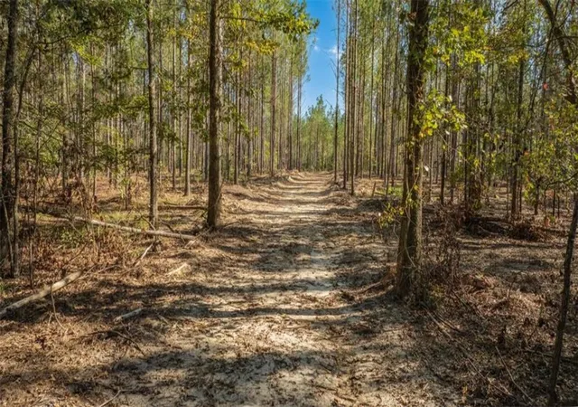 7th image of 0 Livingston Rd Sw, Rome, GA 30161 | MLS# 7746816