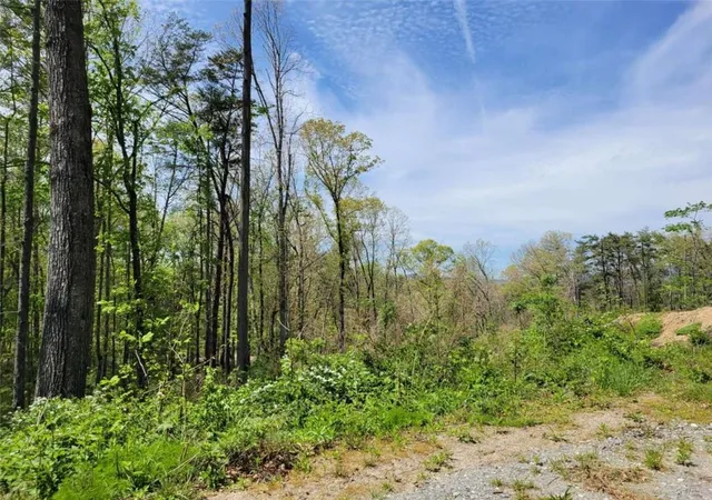 2nd image of Tract Old Northcutt Rd, Ellijay, GA 30540 | MLS# 7754608