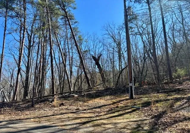 1st image of 125 Gum Wood Ct, Waleska, GA 30183 | MLS# 7546397