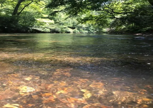 Photo 2 of Land for sale at 0 Hicks Frd Rd, Ellijay, GA 30540 | MLS# 7818982 | Listing updated on 2026-08-11