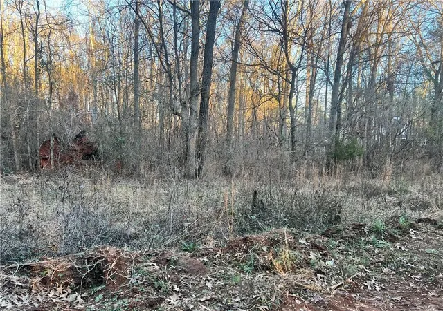 Homes for sale in Monticello, GA | 0 River Rd, Monticello, GA 31064 | MLS# 7710879