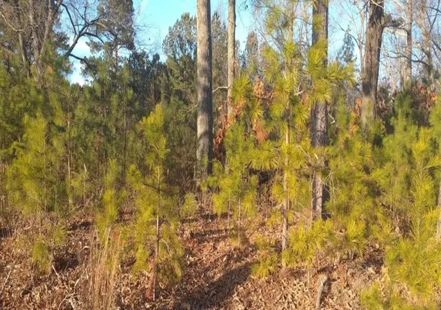 Photo 1 of Land for sale at 4771 Hwy 92, Acworth, GA 30102 | MLS# 6836134 | Listing updated on 2026-02-27