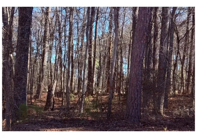Land for sale at 3297 Lakeview Pkwy, Villa Rica, GA 30180 | MLS# 7829354