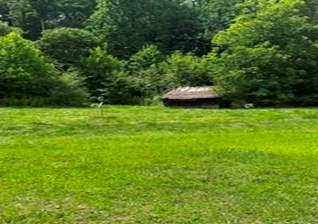 3rd image of 1395 Smith Rd, Martin, GA 30557 | MLS# 7792291