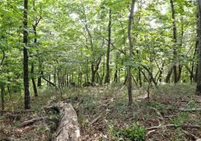 7th image of 3005 Wild Turkey Knl, Jasper, GA 30143 | MLS# 7723490