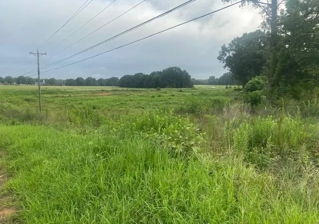 4th image of 0 Hwy 83 Connector, Monroe, GA 30655 | MLS# 7812945