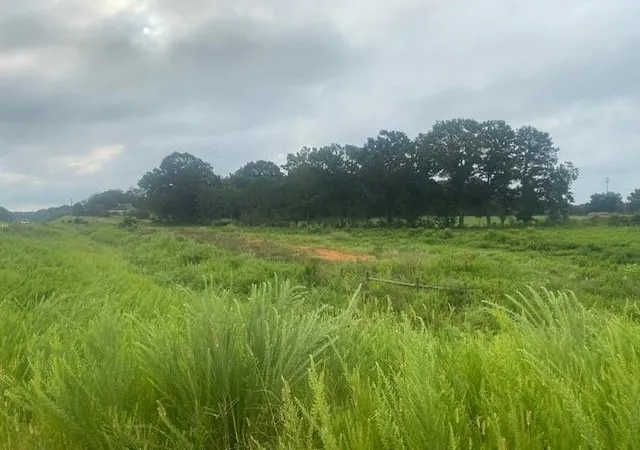 5th image of 0 Hwy 83 Connector, Monroe, GA 30655 | MLS# 7812945