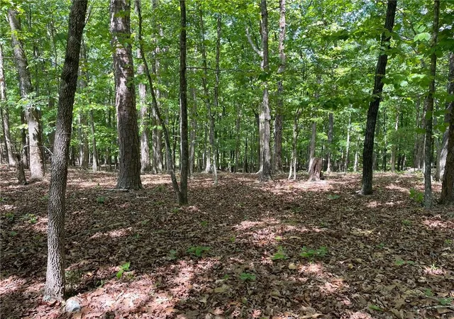 1st image of Tr 1a Chalcrest Wy, Cave Spring, GA 30124 | MLS# 7815084