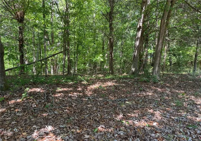 2nd image of Tr 1a Chalcrest Wy, Cave Spring, GA 30124 | MLS# 7815084