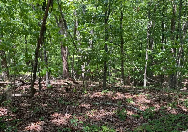 3rd image of Tr 1A Chalcrest Wy, Cave Spring, GA 30124 | MLS# 7815084