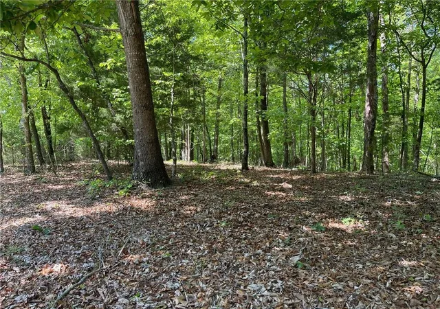 4th image of Tr 1A Chalcrest Wy, Cave Spring, GA 30124 | MLS# 7815084