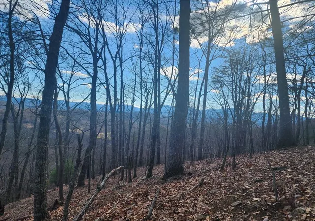 Photo 1 of Land for sale at 0 Trackrock Gap Rd, Blairsville, GA 30512 | MLS# 7786164 | Listing updated on 2026-07-07