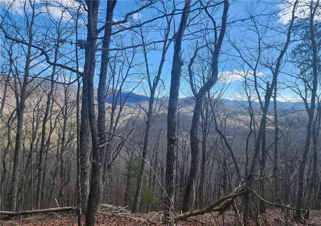 Photo 2 of Land for sale at 0 Trackrock Gap Rd, Blairsville, GA 30512 | MLS# 7786164 | Listing updated on 2026-07-07