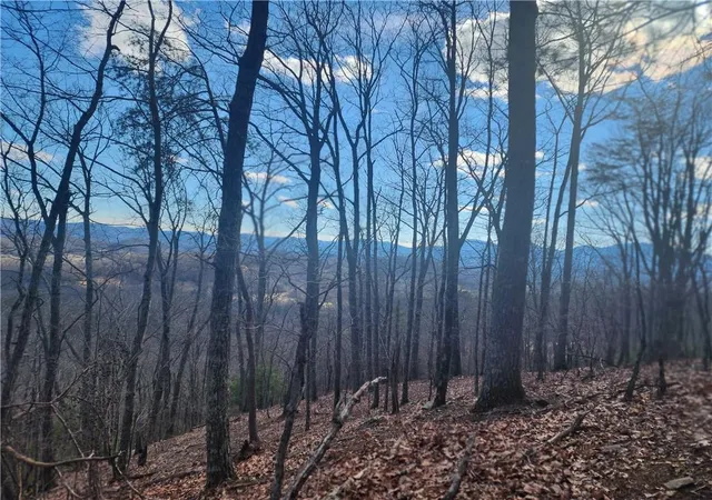 Photo 3 of Land for sale at 0 Trackrock Gap Rd, Blairsville, GA 30512 | MLS# 7786164 | Listing updated on 2026-07-07