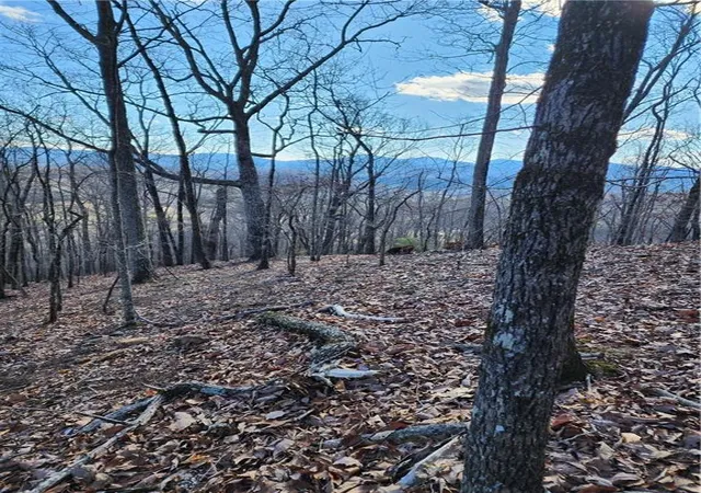 Photo 3 of Land for sale at 0 Trackrock Gap Rd, Blairsville, GA 30512 | MLS# 7786164 | Listing updated on 2026-07-07