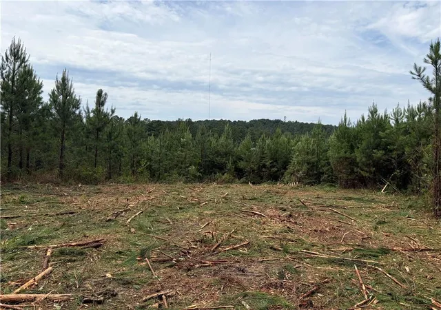 2nd image of 000 John Kay Rd, Taylorsville, GA 30178 | MLS# 7810004