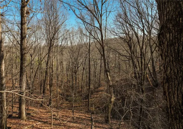 Homes for sale in Murrayville, GA | Lot 10 Mount Mincie Rd, Murrayville, GA 30564 | MLS# 7731184