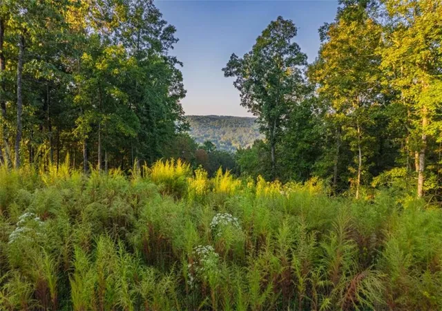 Photo 1 of Land for sale at Lt 290 Anglers Ridge Rd, Talking Rock, GA 30175 | MLS# 7648693 | Listing updated on 2026-09-09