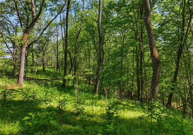 Photo 3 of Land for sale at Lot 4 Summit Dr, Dahlonega, GA 30533 | MLS# 7754094 | Listing updated on 2026-08-21