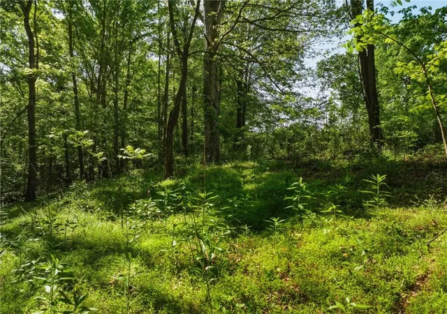 Photo 4 of Land for sale at Lot 4 Summit Dr, Dahlonega, GA 30533 | MLS# 7754094 | Listing updated on 2026-08-21