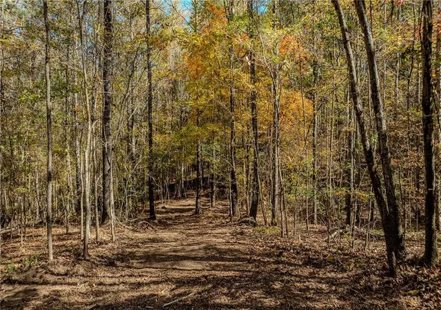 1st image of 0 Jones Ferry Rd, Palmetto, GA 30268 | MLS# 7775222