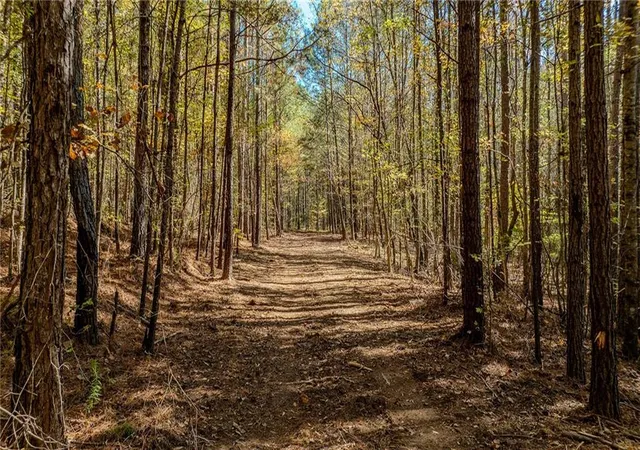 2nd image of 0 Jones Ferry Rd, Palmetto, GA 30268 | MLS# 7775222
