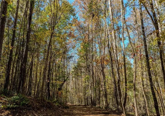 Photo 3 of Land for sale at 0 Jones Fry Rd, Palmetto, GA 30268 | MLS# 7775222 | Listing updated on 2026-05-26
