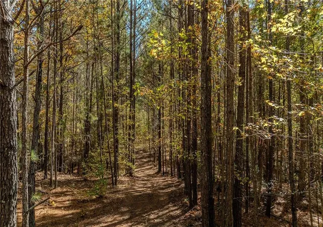 4th image of 0 Jones Ferry Rd, Palmetto, GA 30268 | MLS# 7775222