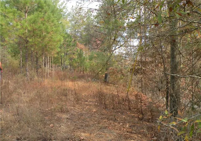 Land for sale at None, Ranger, GA 30734 | MLS# 5287007 | Listing updated on 2020-05-07