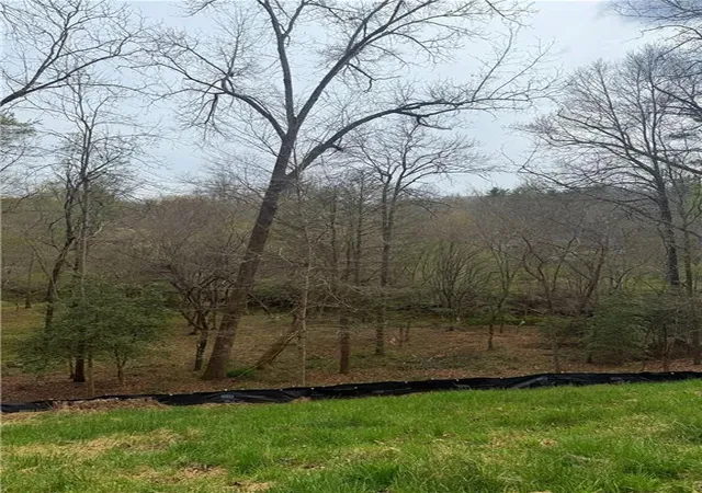 Photo 3 of Land for sale at 0 Holly Dr, Blairsville, GA 30512 | MLS# 7753382 | Listing updated on 2026-07-28