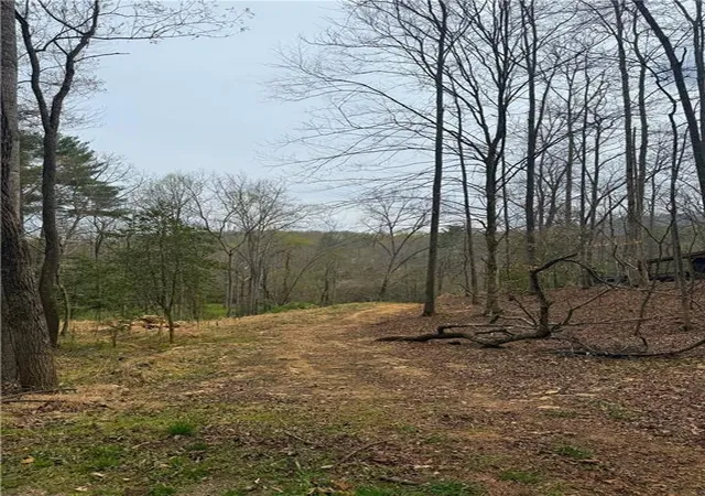 Photo 4 of Land for sale at 0 Holly Dr, Blairsville, GA 30512 | MLS# 7753382 | Listing updated on 2026-07-28
