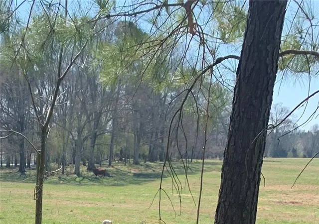 Photo 2 of Land for sale at 2491 Glenn Jackson Rd, Statham, GA 30666 | MLS# 7826365 | Listing updated on 2026-08-25