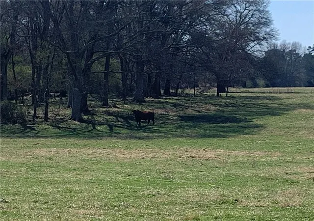 Photo 3 of Land for sale at 2491 Glenn Jackson Rd, Statham, GA 30666 | MLS# 7826365 | Listing updated on 2026-08-25