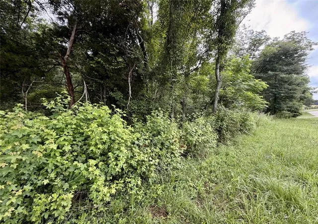 Photo 4 of Land for sale at 0 Maddox, Hoschton, GA 30549 | MLS# 7790050 | Listing updated on 2026-10-29