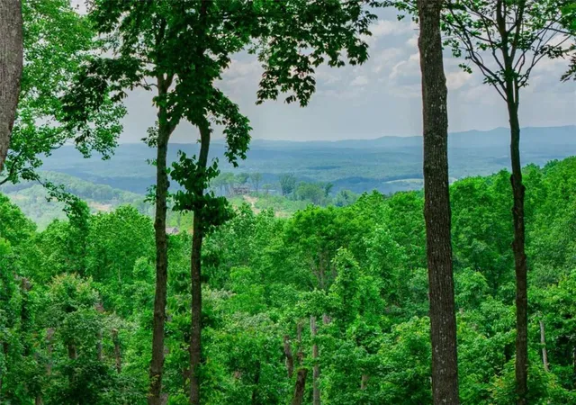 1st image of Lt 411 Calloway Mountain Rd, Talking Rock, GA 30175 | MLS# 7772533