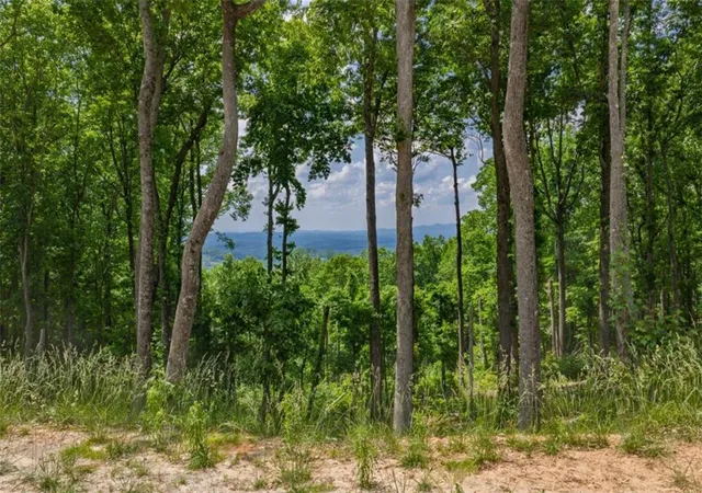 Photo 3 of Land for sale at Lt 411 Calloway Mountain Rd, Talking Rock, GA 30175 | MLS# 7772533 | Listing updated on 2026-08-21