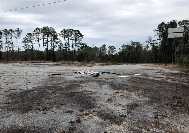 Photo 3 of Land for sale at 13687 Ga Hwy 251, Darien, GA 31305 | MLS# 7238794 | Listing updated on 2026-04-12