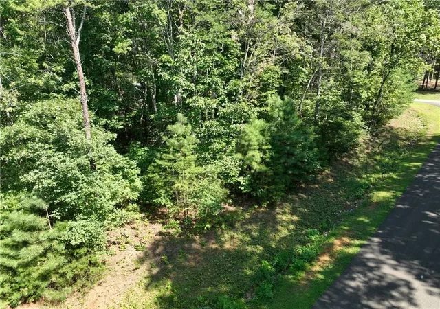 34th image of 142r Autumn Fern Ln, Ellijay, GA 30536 | MLS# 7823594