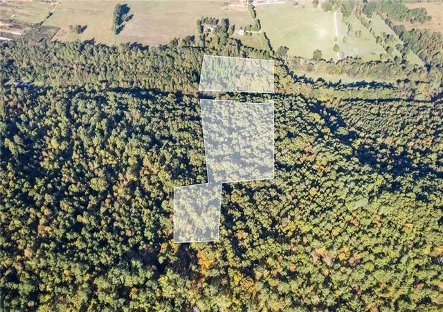 4th image of 0 Mill Rd, Cave Spring, GA 30124 | MLS# 7826111
