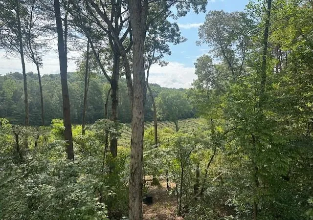 Homes for sale in Ellijay, GA | 167 Meadow View Court, Ellijay, GA 30536 | MLS# 7722109