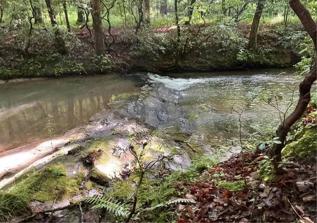 Photo 2 of Land for sale at 0 Mountain Brook Rd, Dawsonville, GA 30534 | MLS# 7786908 | Listing updated on 2026-09-03