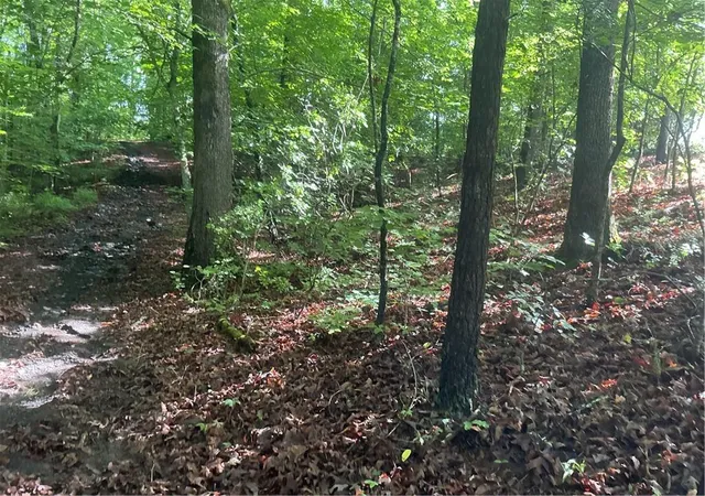 Photo 37 of Land for sale at 0 Mountain Brook Rd, Dawsonville, GA 30534 | MLS# 7786908 | Listing updated on 2026-09-03
