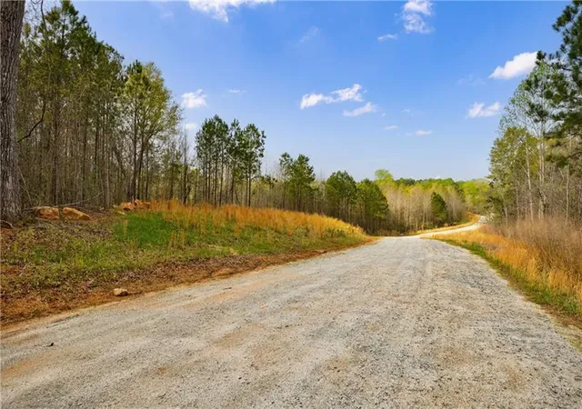 4th image of 8385 Serenbe Rd, Chattahoochee Hills, GA 30268 | MLS# 7727626